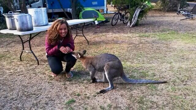two overly friendly kangaroos at our campsite! #thingsthatonlyhappeninaustralia